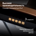 5766 вытяжка BONA 90 B Bronze