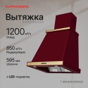6149 Вытяжка купольная T 669 BOR Bronze