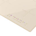 6216 Варочная панель индукционная ICS 606 C