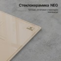 6216 Варочная панель индукционная ICS 606 C