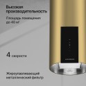 6263 Вытяжка купольная WL-MOTUBA Gold