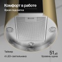 6263 Вытяжка купольная WL-MOTUBA Gold