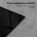 6965 Варочная панель индукционная ICI 316
